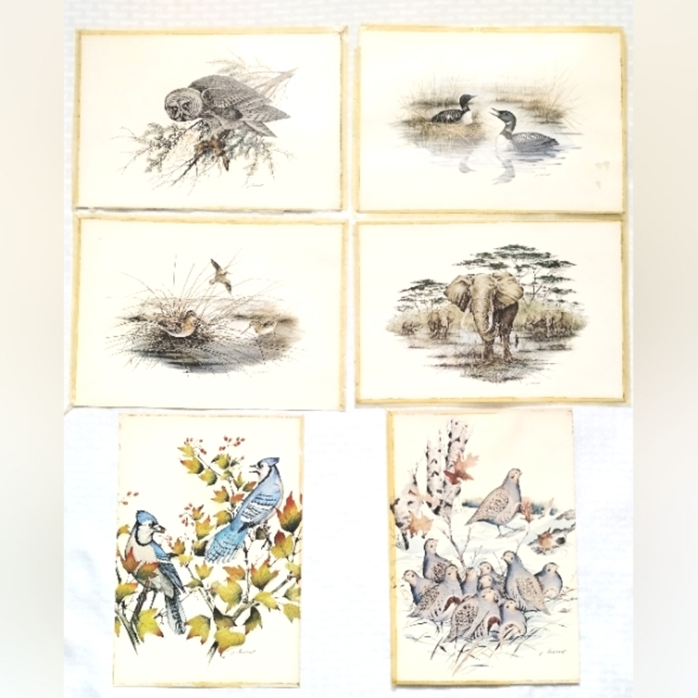 James Lockhart Signed Art Prints lot of 6 Birds Ducks Blue Jay Owl Quail